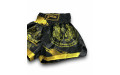 Шорты для бокса Blegend black/gold XL