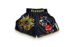 Шорты для бокса Blegend Magic Tiger L