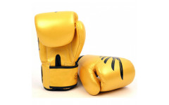 Боксерские перчатки Fairtex BGV1 Falcon 12 oz