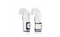 Боксерские перчатки Fairtex BGV9 white 12 oz