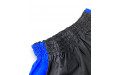 Шорты для бокса Blegend Powerhous black blue - M