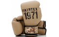 Боксерские перчатки Fairtex BGV25 F-DaY2 16 oz