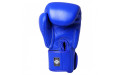 Боксерские перчатки Twins Special BGVL3 blue 12 oz